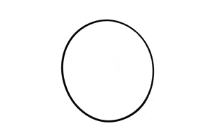 *INLET O-RING; BUNA
